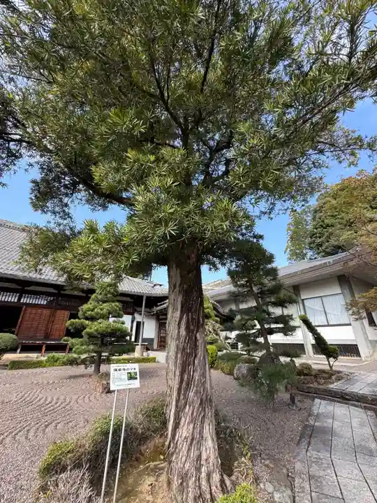 瑞泉寺(愛知県)