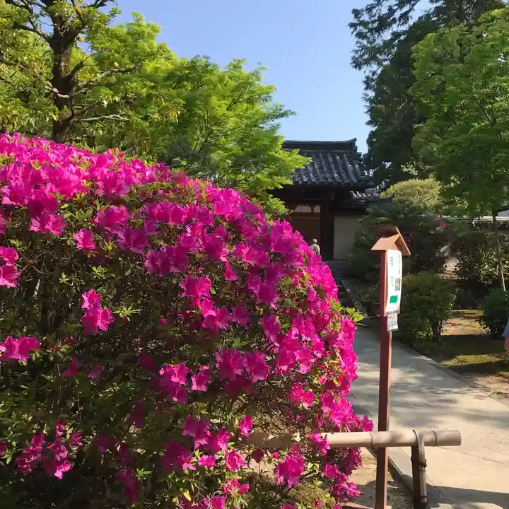 唐招提寺の自然