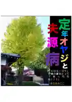 耕田院(山形県)