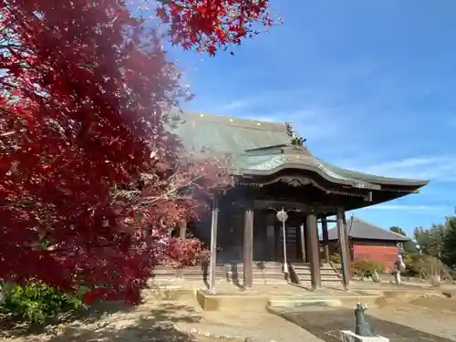 東光寺の本殿・本堂