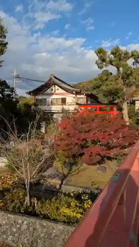 宇治神社の景色