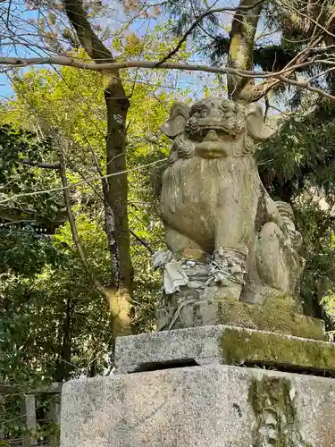 石清水八幡宮の狛犬