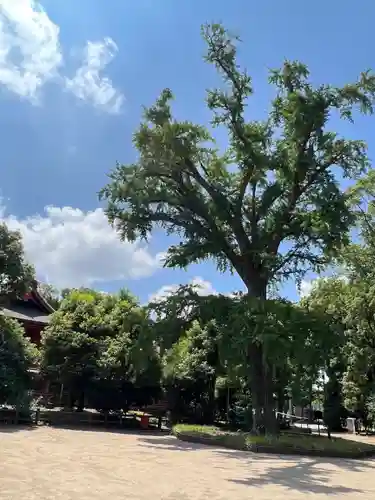 飯香岡八幡宮(千葉県)