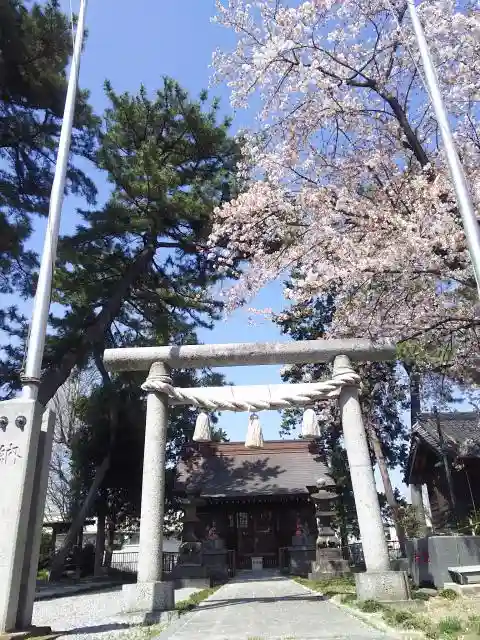 稲荷神社（弥十郎稲荷）の鳥居