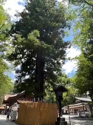 諏訪大社下社秋宮(長野県)