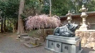 瀧樹神社の狛犬