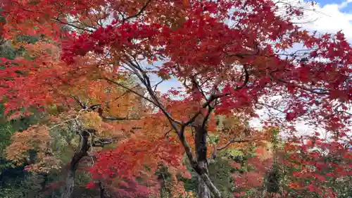 二尊院(京都府)