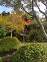 鳳仙寺(宮城県)