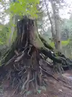 武蔵御嶽神社(東京都)