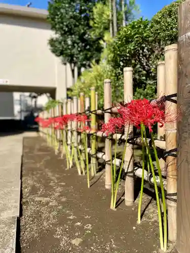 福王山  慈眼寺の自然