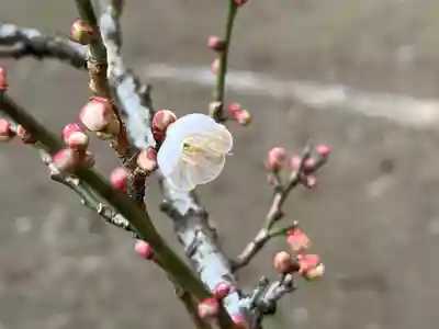 大洗磯前神社(茨城県)