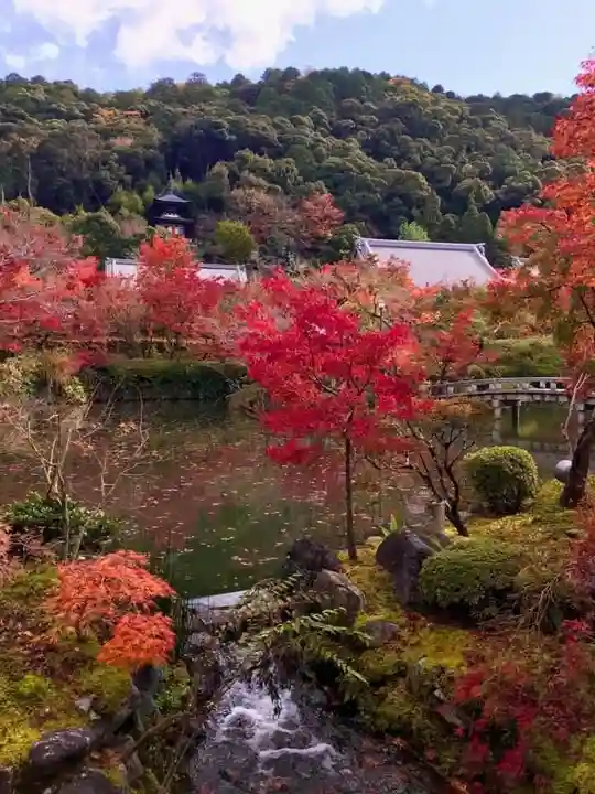 禅林寺(永観堂)(京都府)
