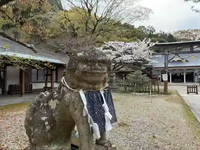 忌部神社の狛犬