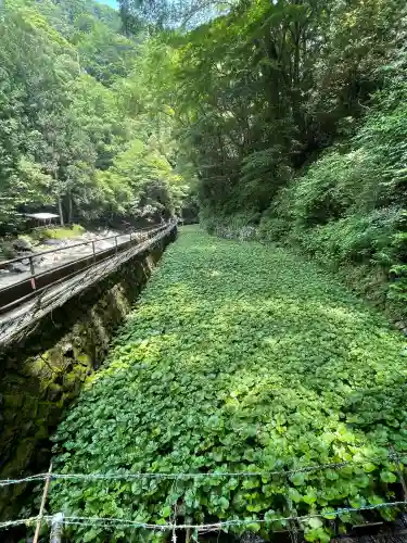 浄蓮の滝不動尊(静岡県)