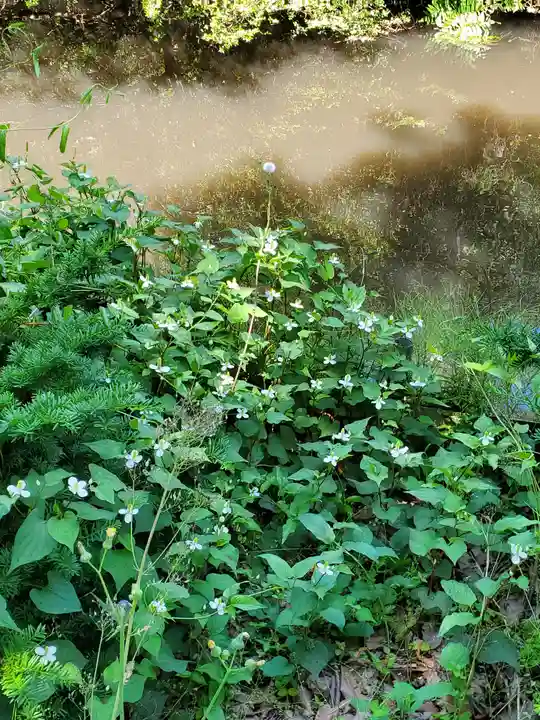 白髭神社(栃木県)