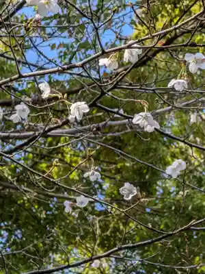渋谷氷川神社(東京都)