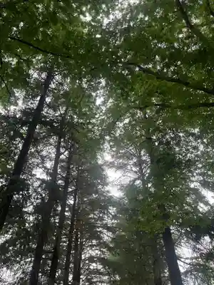 諏訪神社(東京都)