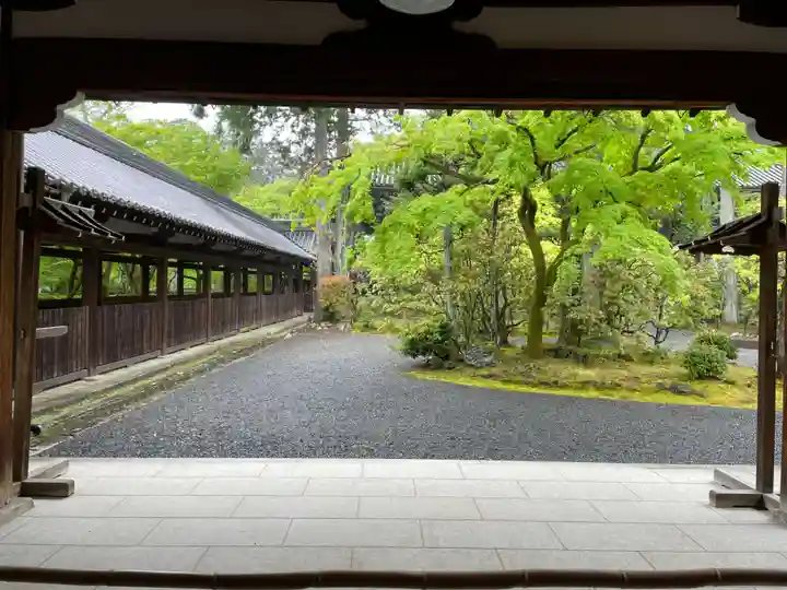 真正極楽寺(真如堂)(京都府)