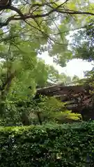 王子神社の本殿