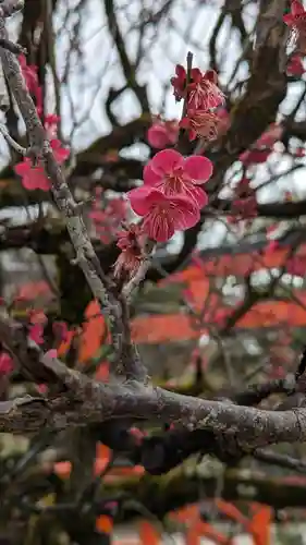 賀茂御祖神社（下鴨神社）(京都府)