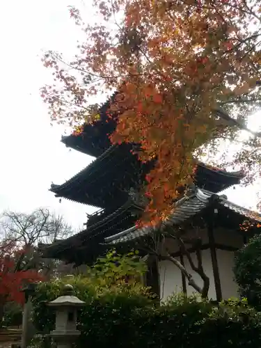 真正極楽寺（真如堂）の塔