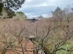 東福禅寺（東福寺）(京都府)