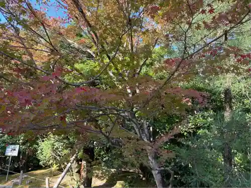 龍安寺(京都府)