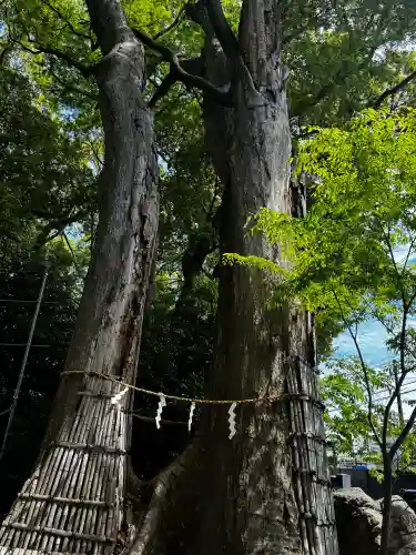 倉見神社の{uncategorized: "未分類", other: "その他", undefined: "問題あり", building: "その他建物", grave: "お墓", sacred_gate: "鳥居", guardian: "狛犬", statue: "像", buddha: "仏像", history: "歴史", nature: "自然", garden: "庭園", animal: "動物", pagoda: "塔", temizu: "手水舎", mountain_gate: "山門・神門", sanctuary: "本殿・本堂", subordinate: "末社・摂社", art: "芸術", scenery: "景色", jizo: "地蔵", ema: "絵馬", goshuin: "御朱印", omikuji: "おみくじ", items: "授与品その他", amulet: "お守り", goshuincho: "御朱印帳", eats: "食事", festival: "お祭り", votive_dance: "神楽", shichigosan: "七五三参", wedding: "結婚式", experience: "体験その他", initially: "初詣", around: "周辺", anti_infection: "感染症対策"}