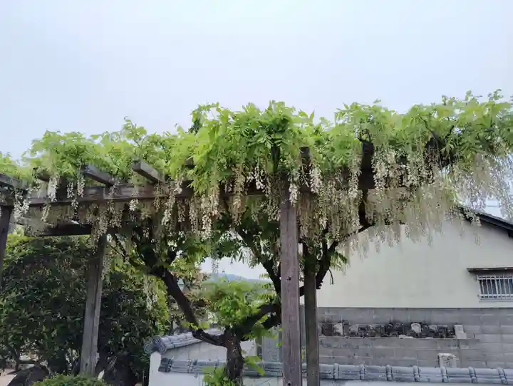 蓮休寺(岡山県)