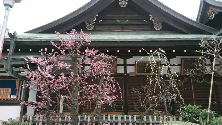 大阪天満宮の自然