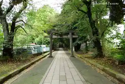 渋谷氷川神社の鳥居