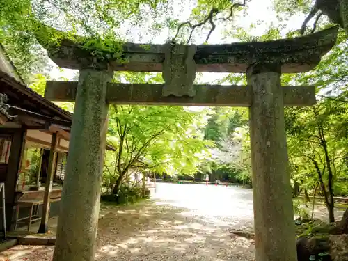 仁比山神社の鳥居