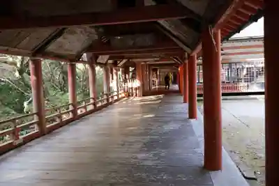 柞原八幡宮(大分県)