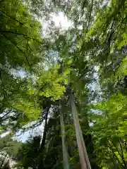 小國神社の自然