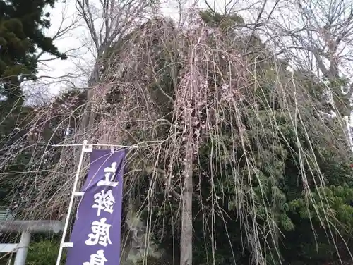 立鉾鹿島神社の庭園