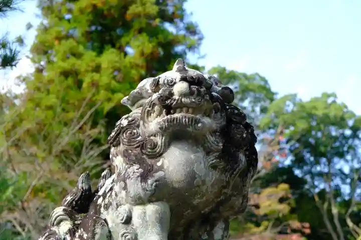 出雲大神宮の狛犬
