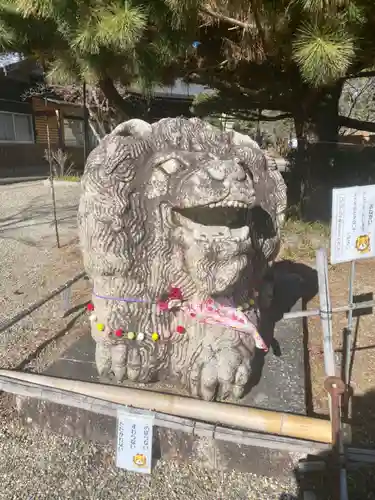 京都乃木神社の狛犬