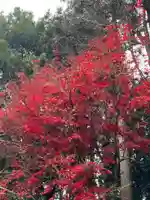 大宮温泉神社(栃木県)