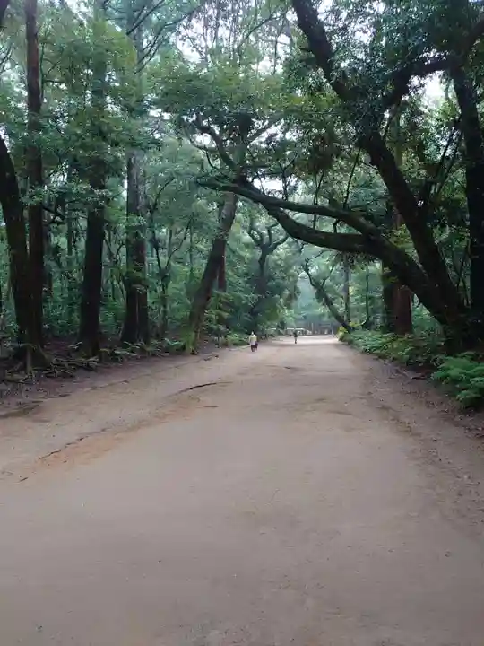 鹿島神宮の自然