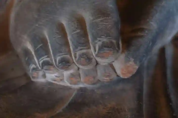 宗堅寺(京都府)