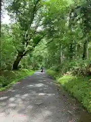 戸隠神社奥社(長野県)