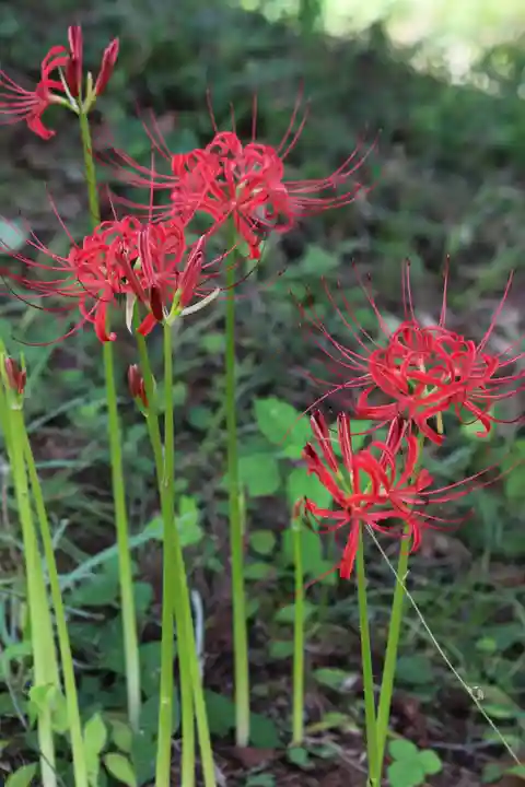 国宝 大法寺(長野県)