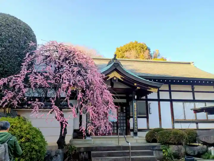 三寳寺(東京都)