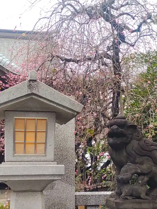 牛天神北野神社(東京都)