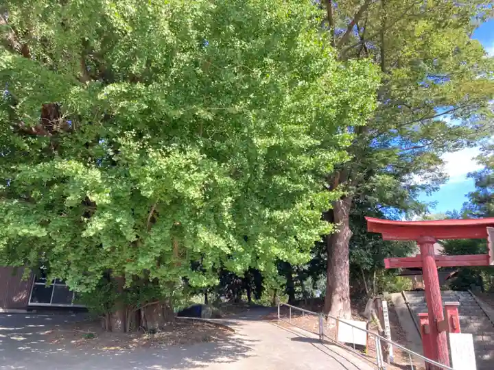 蛟蝄神社門の宮(茨城県)