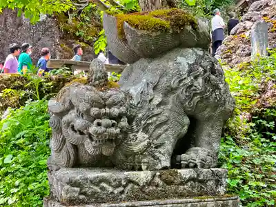 戸隠神社奥社の狛犬
