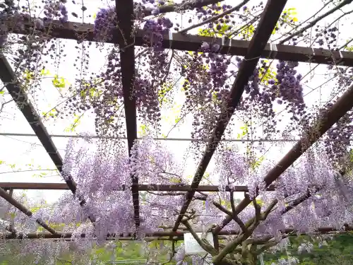 和氣神社（和気神社）の自然