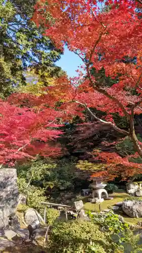 くろ谷 金戒光明寺(京都府)