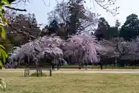 賀茂別雷神社(上賀茂神社)(京都府)