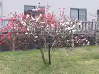 住吉神社(岐阜県)